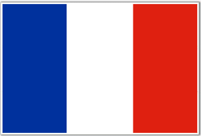 France says dozens of disinformation attacks came from Russia