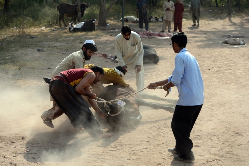 Four-day Eid holidays announced