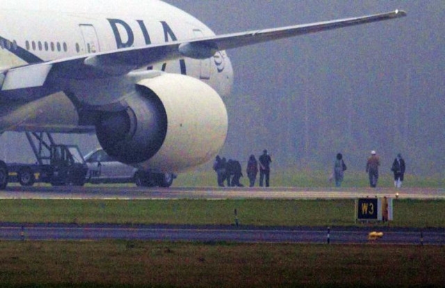 Bird strikes threaten aviation safety