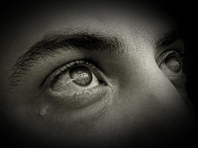 'Prevent blindness in premature babies'