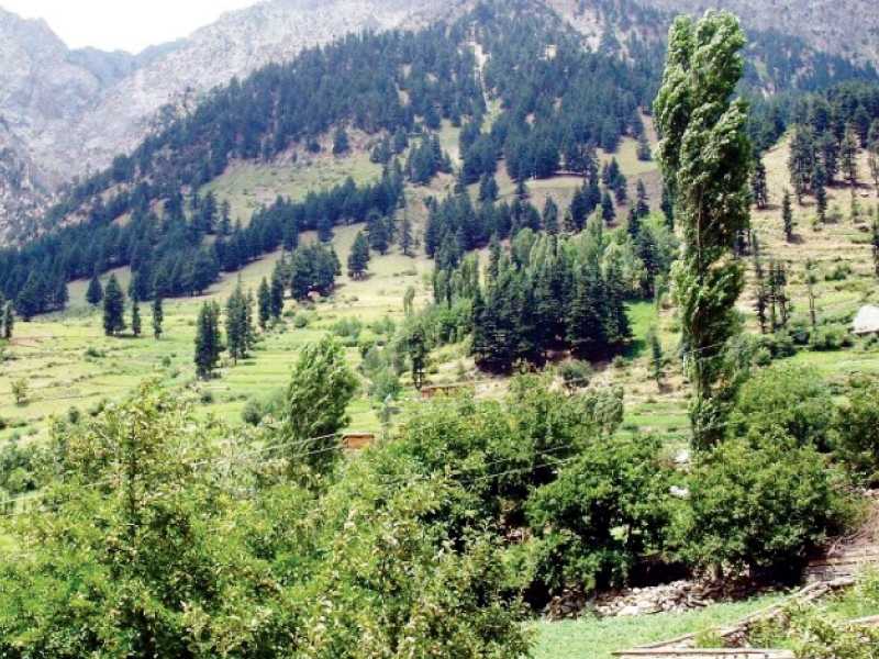 A scenic journey with historical insights