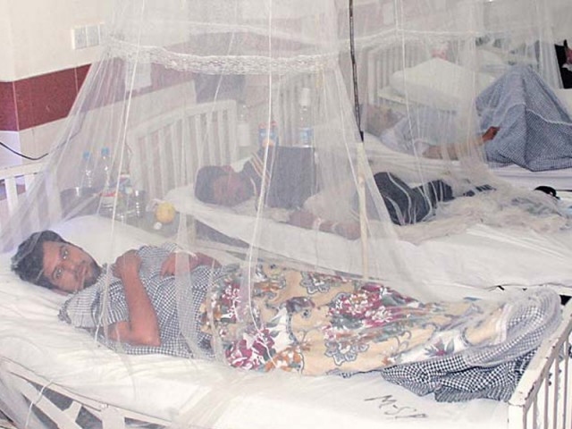 Murree becomes dengue 'epicentre'