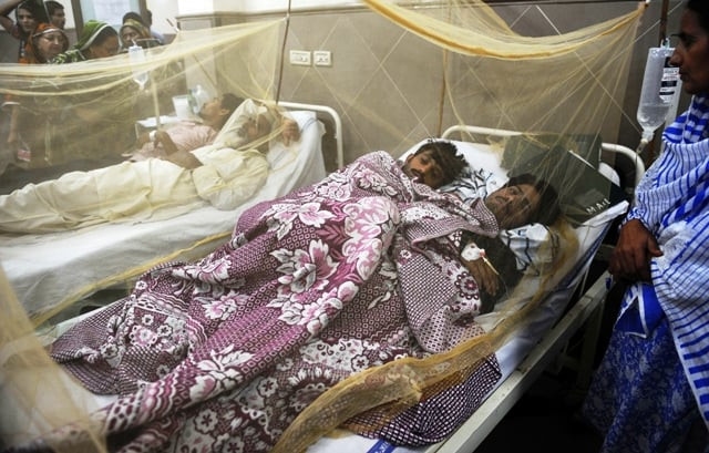 K-P confirms 44 new dengue cases