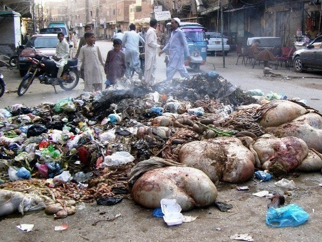 4,150 tonnes of animal waste collected