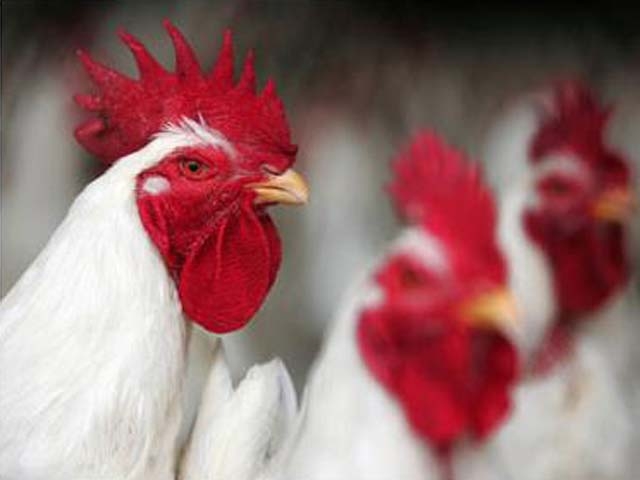 Food price disparities persist across metropolis