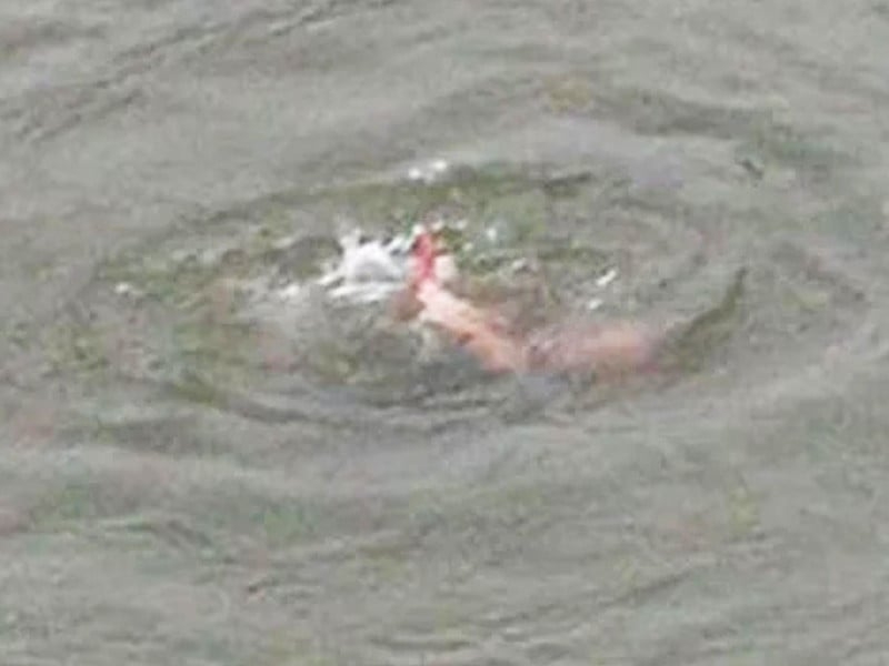 Six drowned picnickers' corpses retrieved