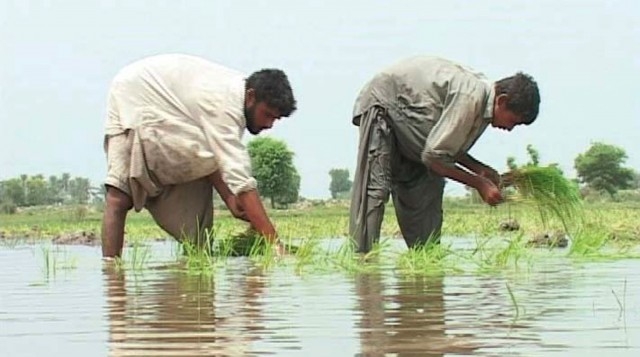 Farmers to get super seeders on subsidy