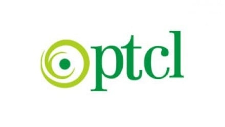 NA panel questions PTCL's property sale