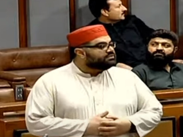 ANP to convene 'Pakhtun Jirga', APC