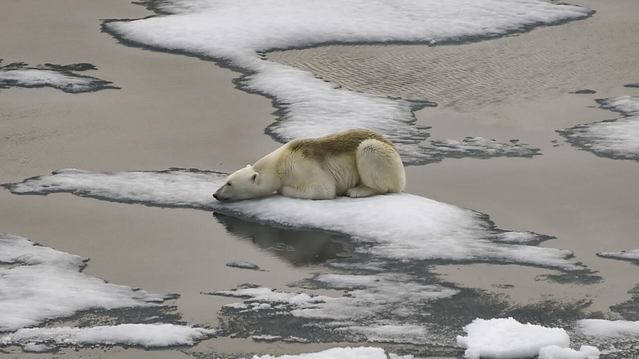 Arctic sea ice hits lowest peak, says US agency