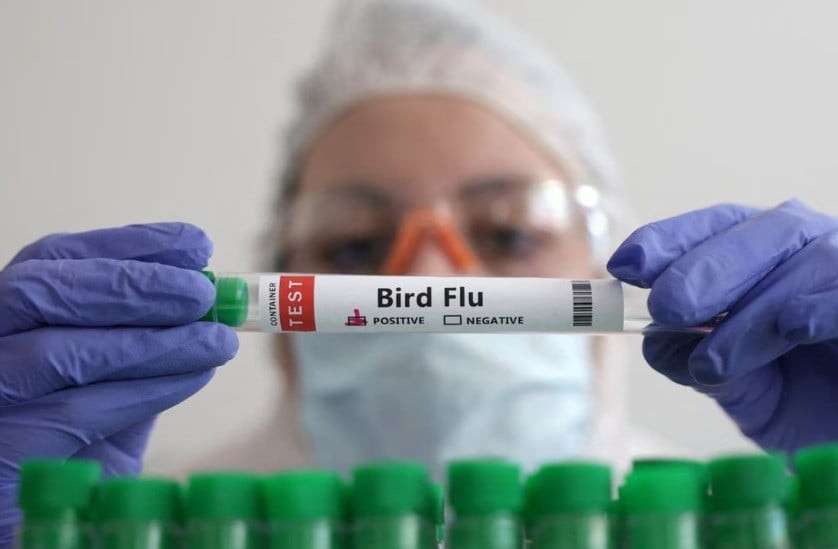 Scientists raise alarm over H5N1 bird flu, urge pandemic readiness