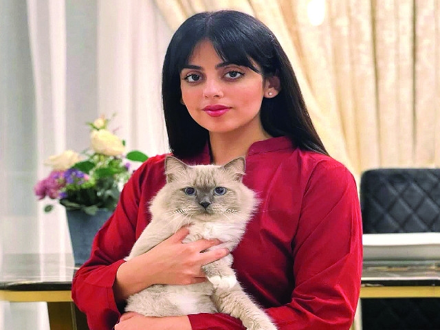 Gill mourns cat's death