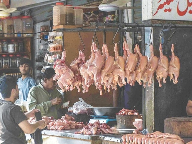 Chicken prices drop in Peshawar