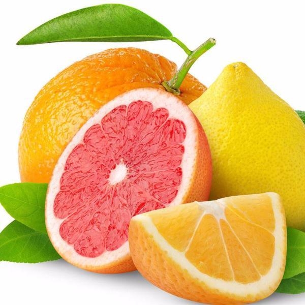 Centre of Excellence for Citrus begins work
