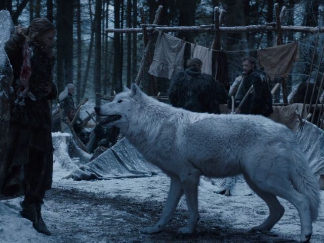 Game of Thrones dire wolves reborn: Colossal Biosciences de-extincts canines using CRISPR