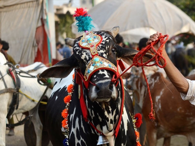 Eidul Adha likely to be celebrated on June 7