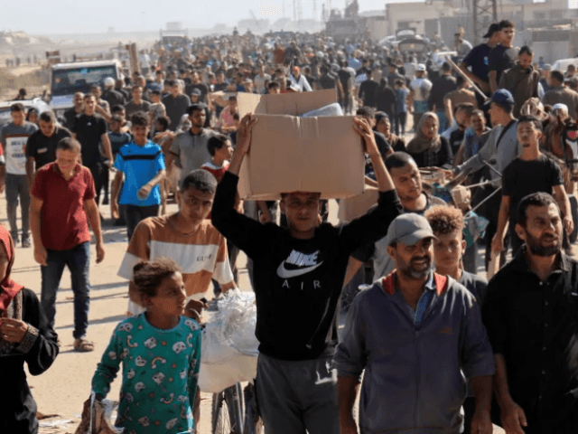 Israeli strikes kill 55 people in Gaza today