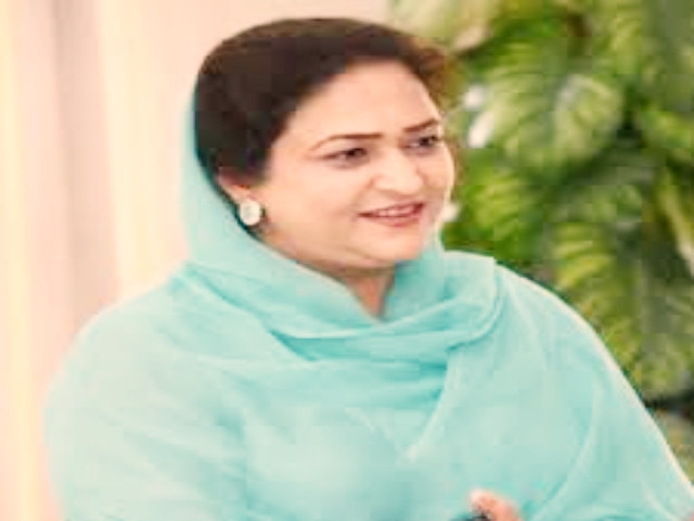 PM suspends EPA chief for 4 months