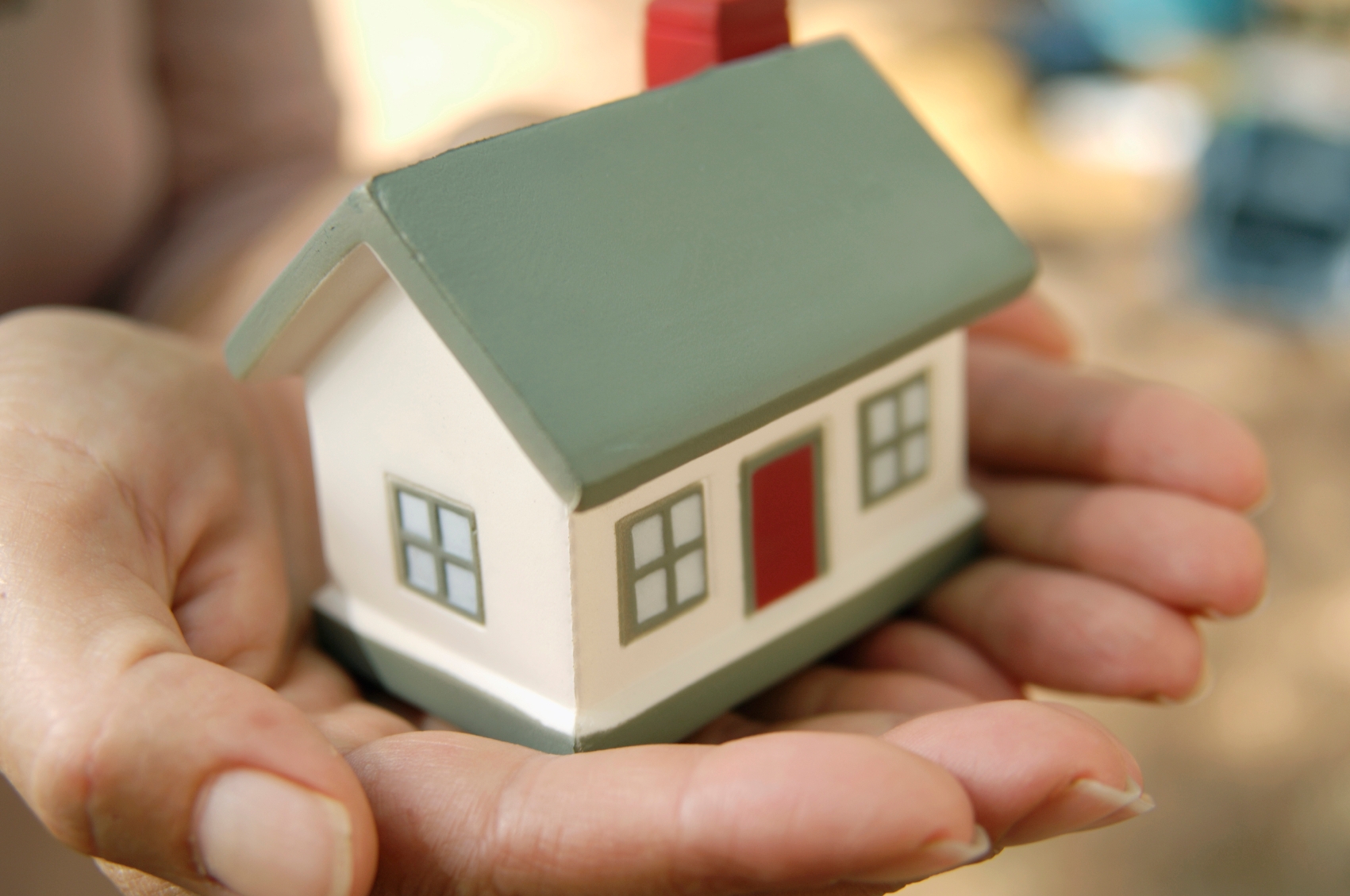 Govt launches land division initiative