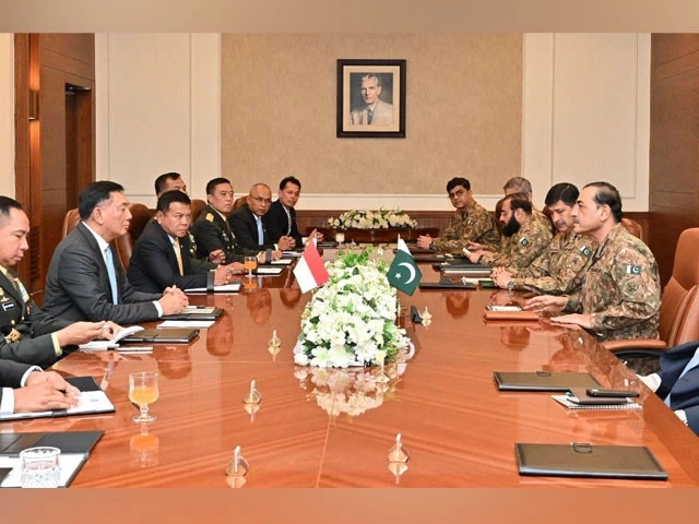 Field Marshal Munir, Indonesian defence minister agree to boost defence cooperation