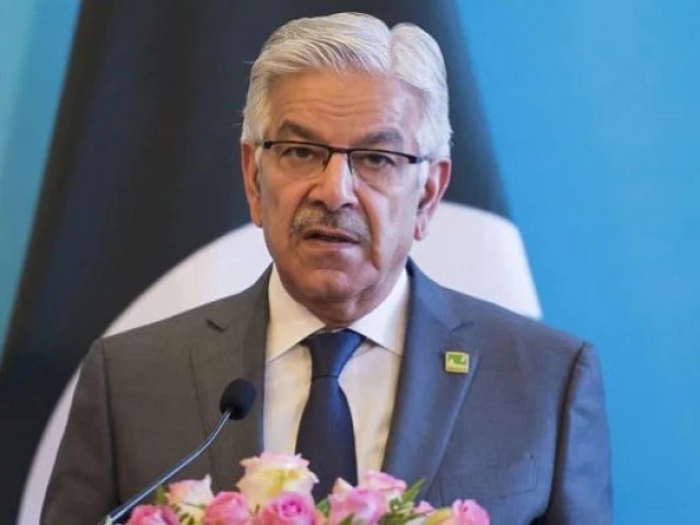 Asif takes another swipe at bureaucracy
