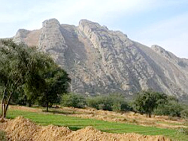 Salt Range faces risk to biodiversity
