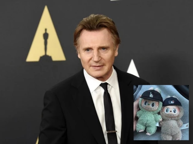 Liam Neeson asks if Labubu toy is edible in viral interview