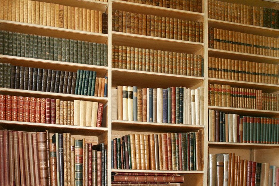 Libraries fail to promote literary engagement