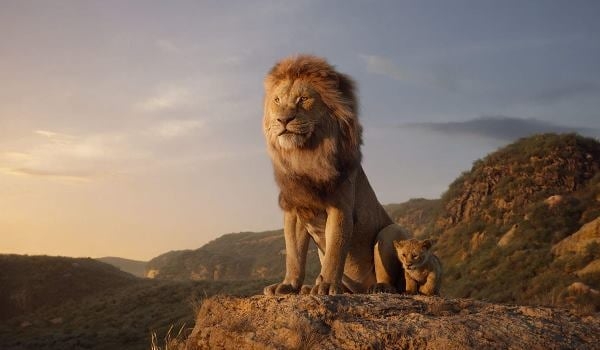 Lions confiscated after social media stunt