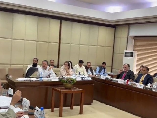Senate panel proposes tax exemption for annual income up to Rs1.2m