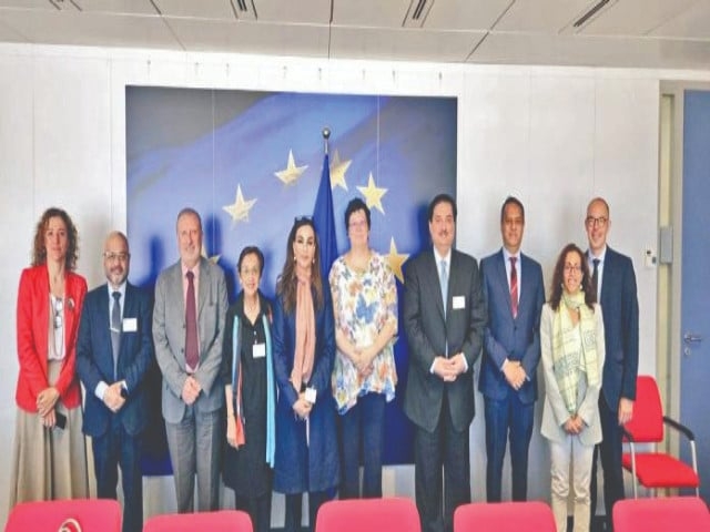 Pakistan makes a pitch for regional peace at Brussels