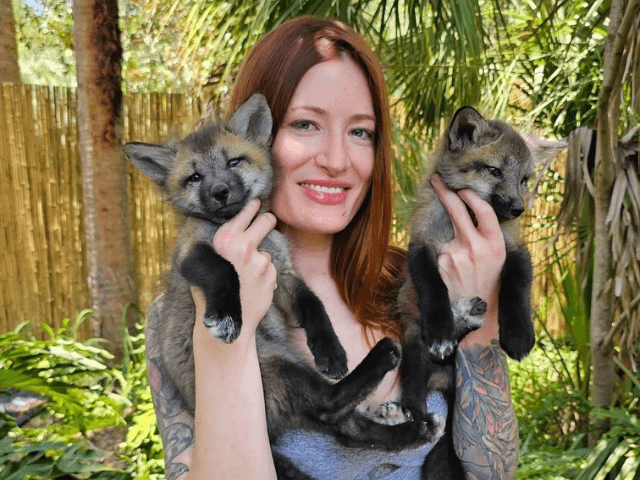 SaveAFox founder Mikayla Raines' husband keeps her promise after tragic death