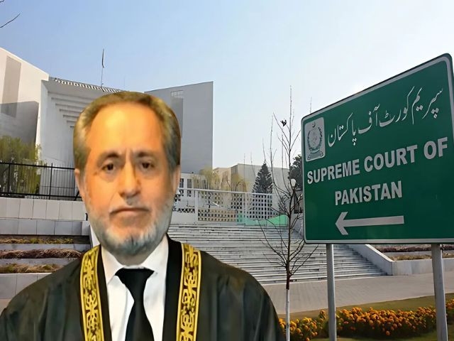Govt must move at cheetah's speed, not tortoise's pace: Justice Mandokhail