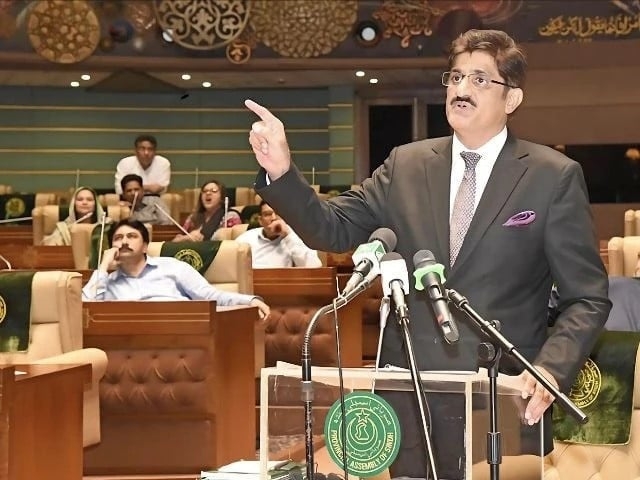 CM presents over Rs1tr ADP for 2025-26