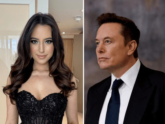 Elon Musk accused of reducing child support after Ashley St. Clair filed custody lawsuit over alleged 13th child
