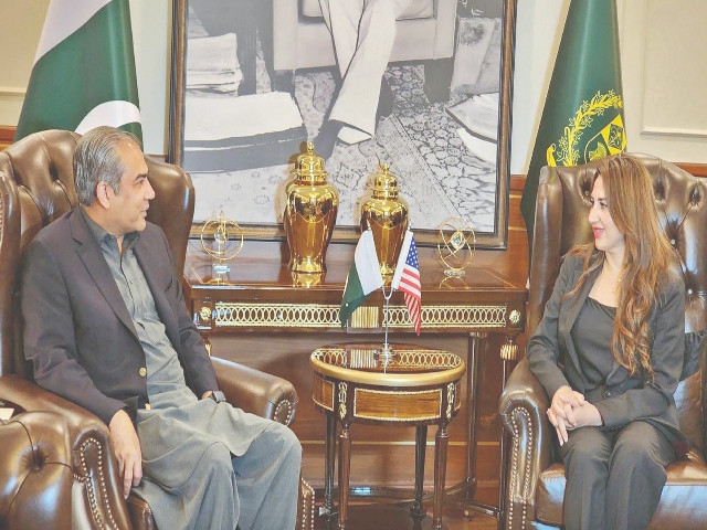US envoy, Naqvi discuss ties