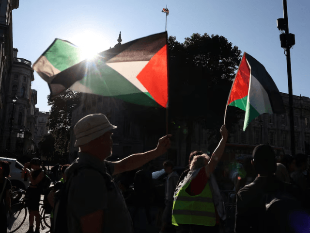 UK's Palestine Action moves court to stay government ban