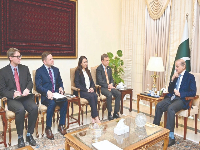 US eyes Pakistan's critical mineral potential