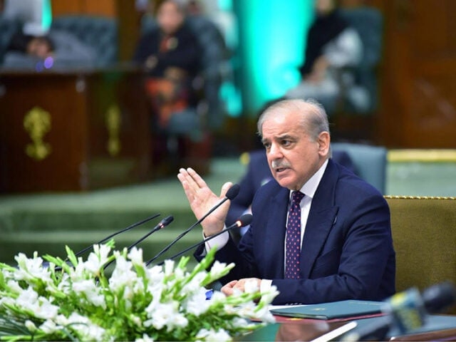 Pakistan's economic growth on track: PM Shehbaz