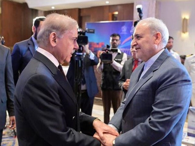 PM Shehbaz meets Iranian Ambassador, reaffirms Pakistan's support amid Israeli aggression