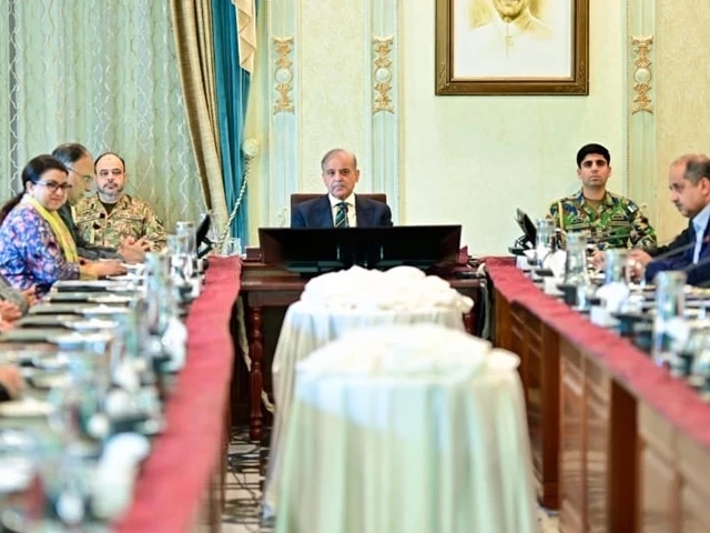 PM Shehbaz pledges economic turnaround through structural reforms
