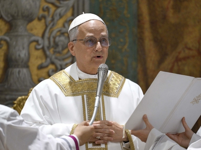 The first official portrait of Pope Leo XIV is here