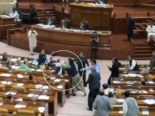 PA turns chaotic after slap sparks scuffle, two MPAs suspended