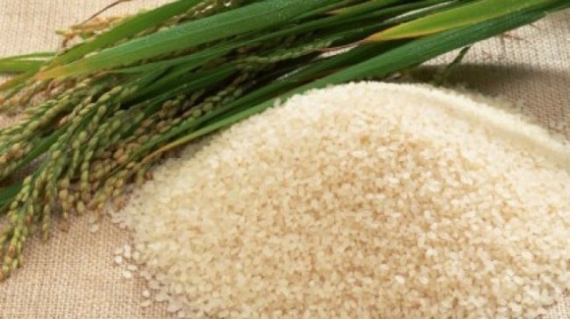Penalties on rice exporters waived
