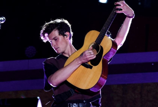 Is Shawn Mendes dating his collaborator?