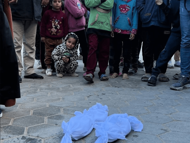 Seven Palestinian babies die of hypothermia in Gaza amid aid restrictions and cold
