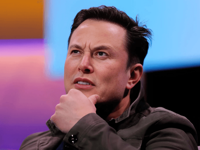 CAIR condemns Musk for calling US Muslim groups 'terrorist organisations'