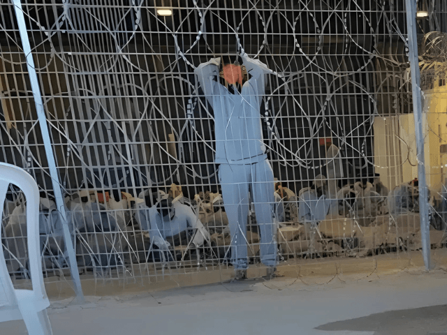 Over 160 Gaza medical workers detained by Israel amid torture reports