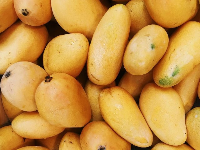 15 mango shipments from India rejected at US entry points