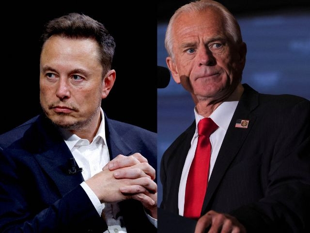 White House brushes off Musk–Navarro clash: 'Boys will be boys'